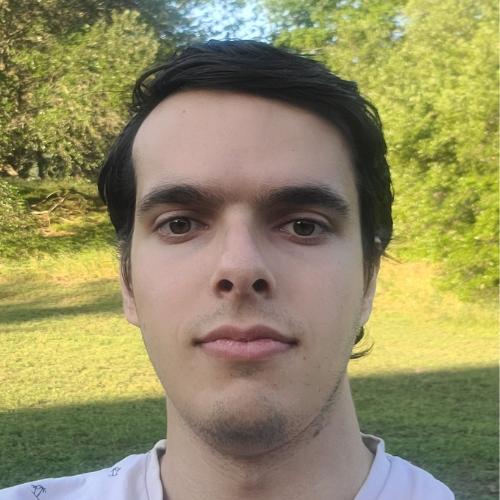 صورة إبراهيم قفيشة